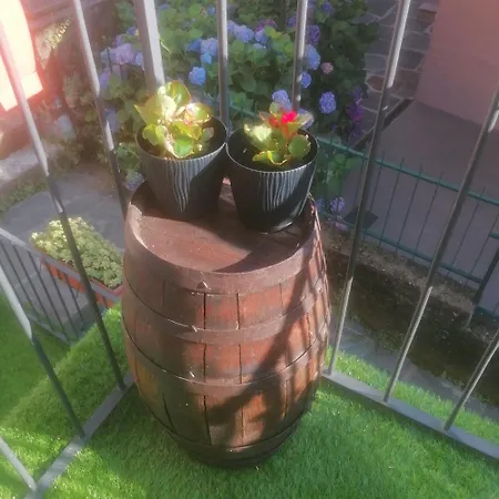 Lucia's Wood House *