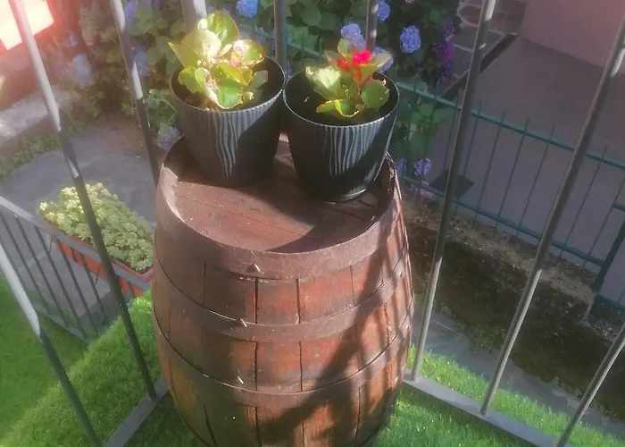 Lucia's Wood House *